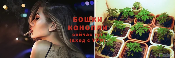 крисы Беломорск