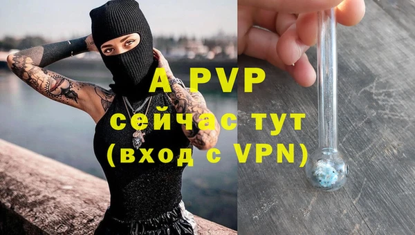 крисы Беломорск