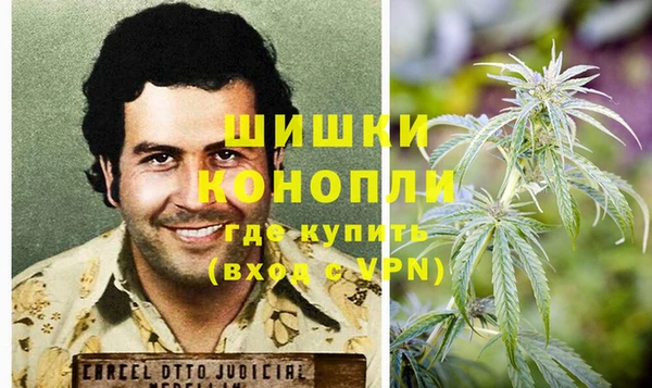 прущие грибы Протвино