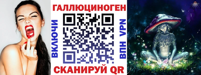 где можно купить наркотик  Плёс  Галлюциногенные грибы Psilocybine cubensis 